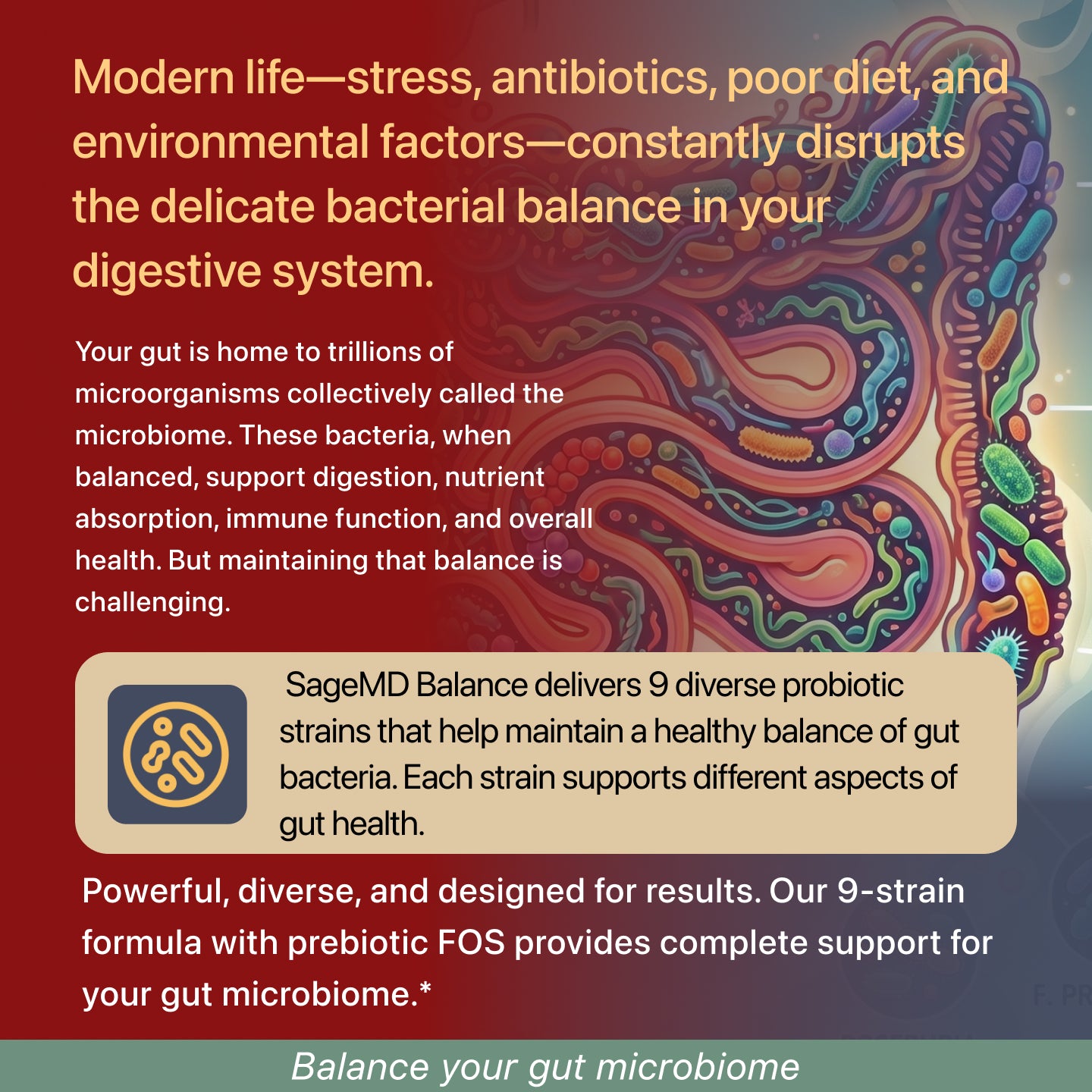 SageMD Balance - Probiotic 15B CFU