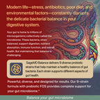 Stylized graphic of the human intenstines with text overlay explaining the science and benefits of Probiotics and the benefits with SageMD.