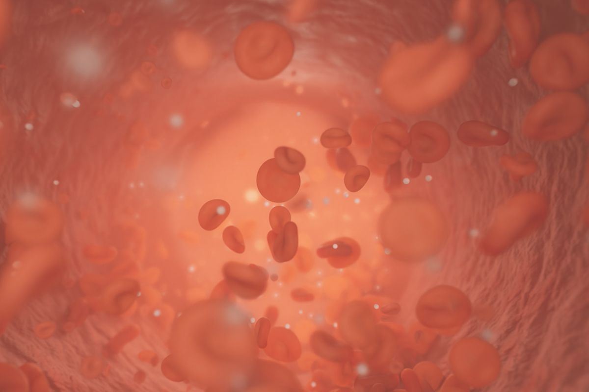 Interior shot of a blood vessel | Sage Healthspan