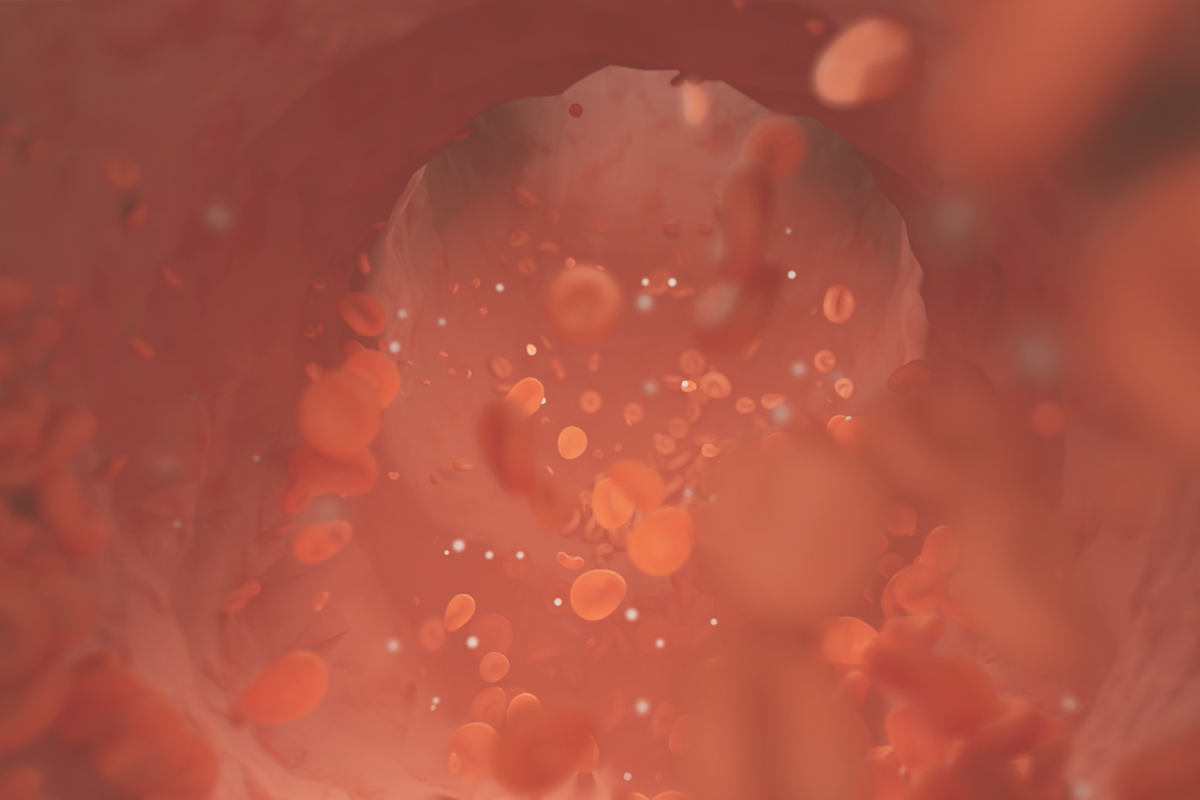 Blood Health | Sage Healthspan