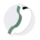 Isometric angle of a stomach icon.