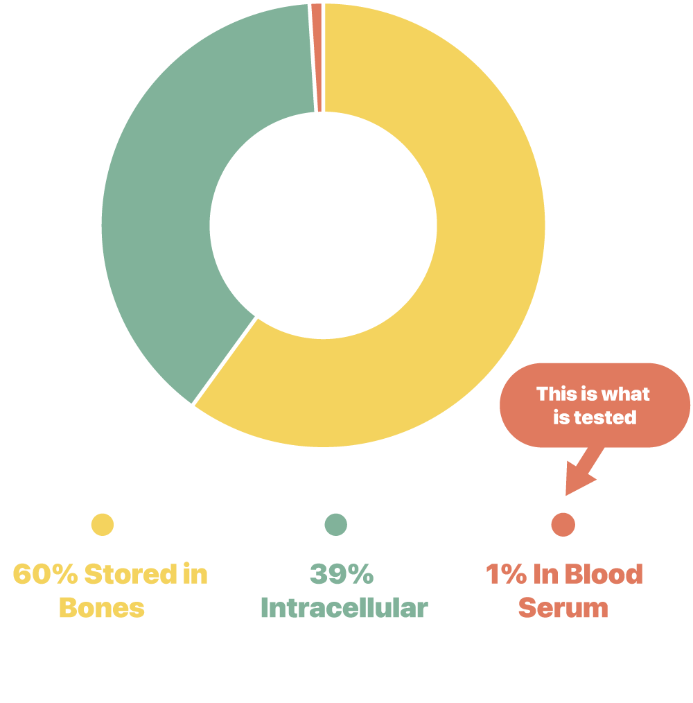 Pie chart showing magnesium distribution in bones, intracellular, and blood serum.