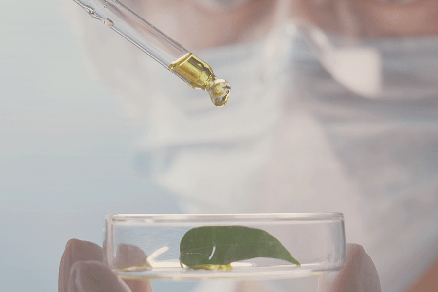 Dropper with a green liquid being added to a clear container with a leaf inside, on a blurred background.